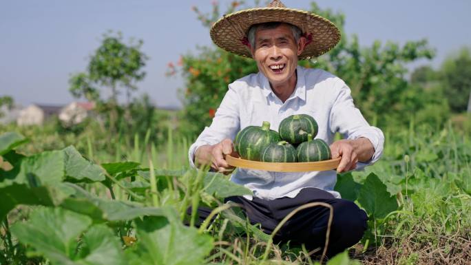 菜地 农村农民笑脸 贝贝南瓜