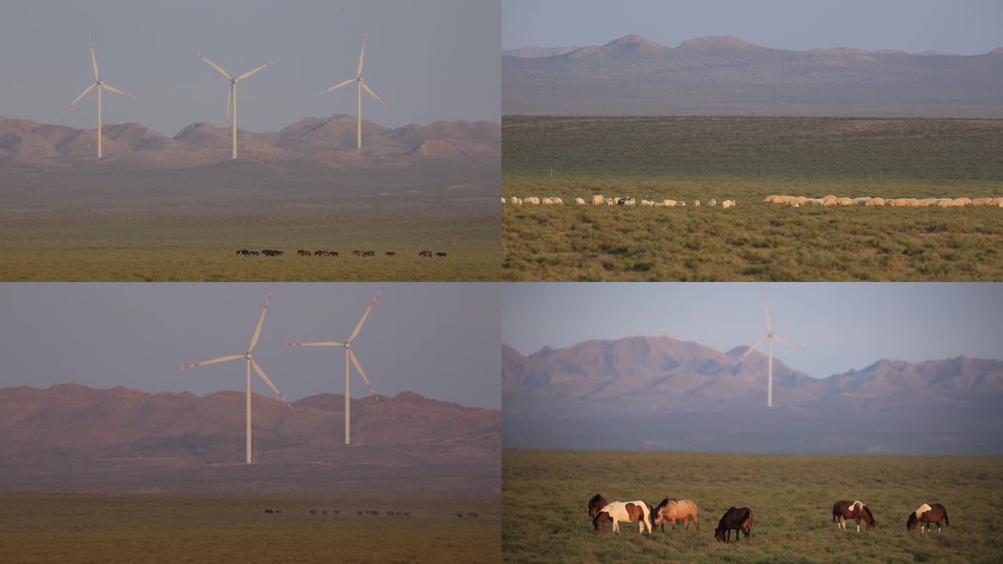 生态 清洁能源 绿色 荒漠 风电
