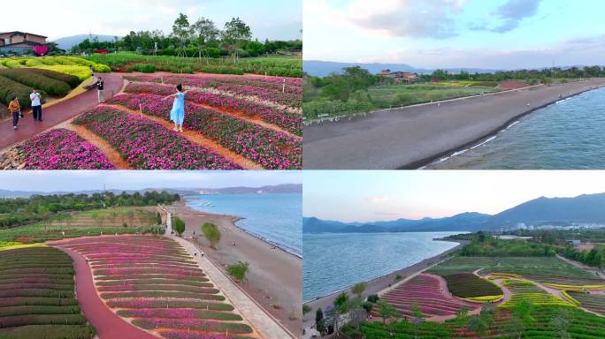 澄江抚仙湖广龙扶海湾湿地公园