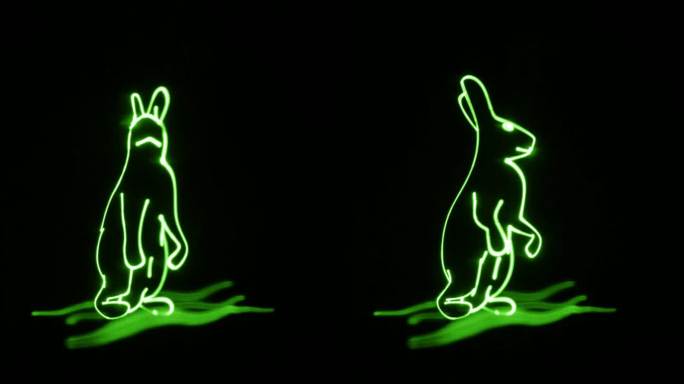 激光投影 兔子