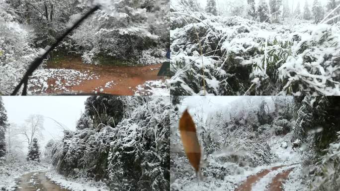 冬季下雪穿越林间小路游玩赏雪山路十八弯