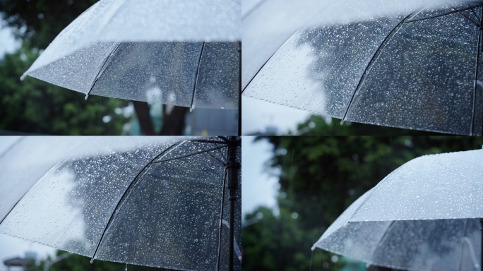 雨天透明雨伞 雨滴打在雨伞