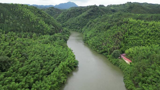 山川河流  绿水青山  林业资源