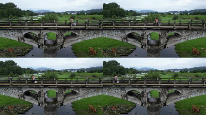 乡村古桥梁傍晚风光  舒适治愈农村风景