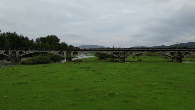 美丽乡村河道草原风光景象舒适治愈