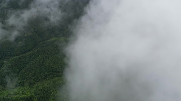 山区俯瞰植被覆盖率  俯拍森林云雾缭绕