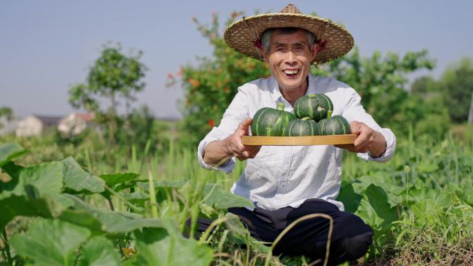 菜地 农村农民笑脸 贝贝南瓜