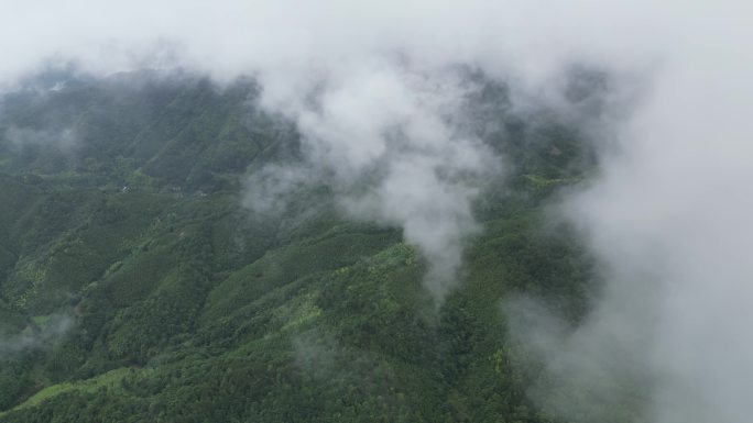 山区俯瞰植被覆盖率  俯拍森林云雾缭绕