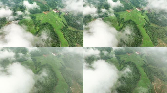 航拍雨后高山茶园