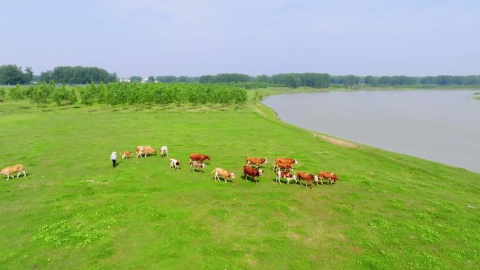 淮滨淮河两岸风光