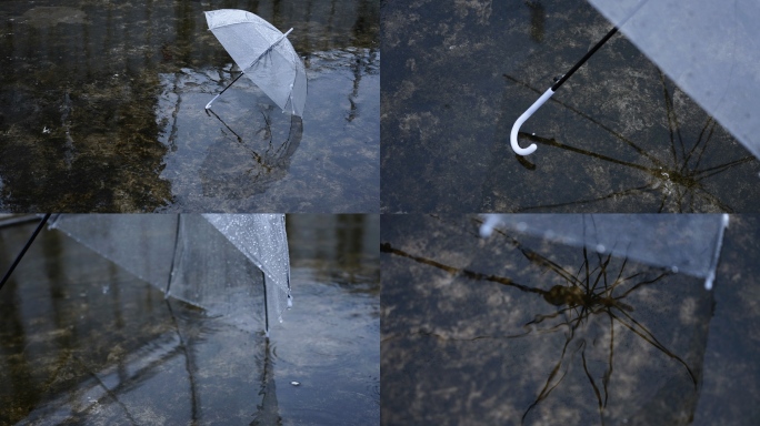 雨天透明雨伞悲伤孤单伤感情绪意境镜头