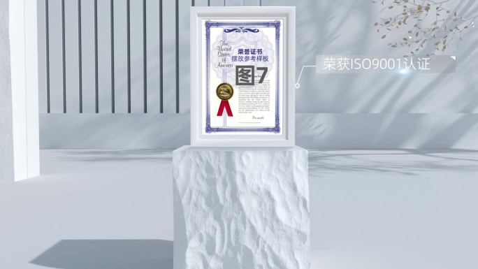 岩石证书专利荣誉奖杯展示模板