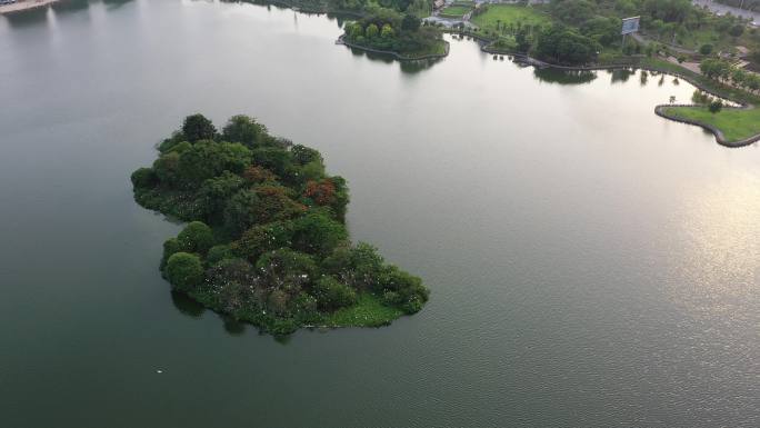 湖中央的绿色鸟岛