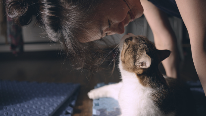 女孩在房间逗猫，唯美温馨生活，猫咪陪伴