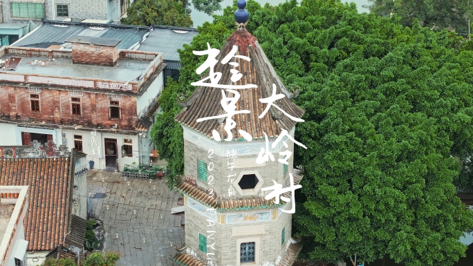 广州文化名村大岭村端午龙舟航拍4K视频