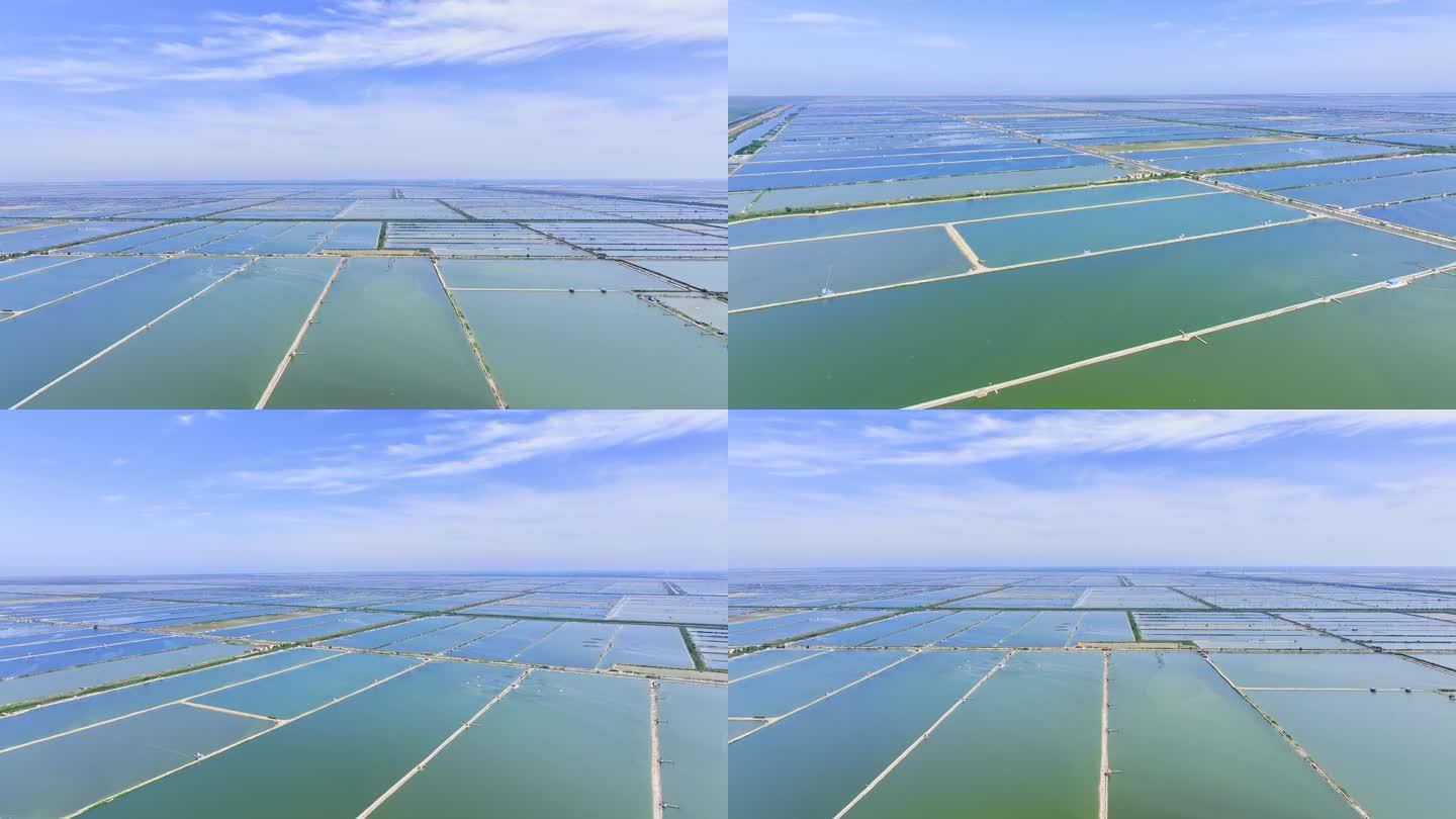 【4K】渔业 鱼塘 鱼养殖 海淡水养殖