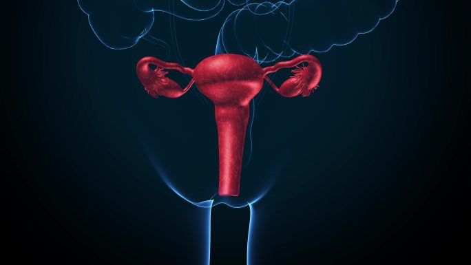 子宫卵巢病变