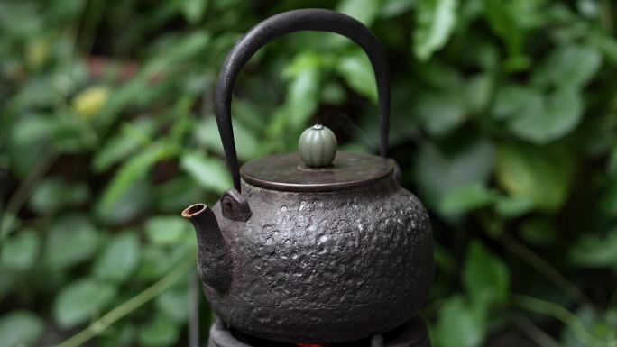 4K升格实拍，夏天大自然中铜壶碳火煮茶中