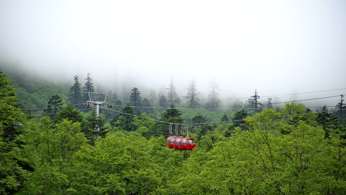 原始森林观光旅游索道缆车穿越唯美风景