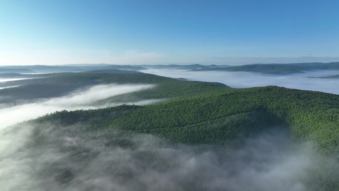 航拍黎明青山森林云海