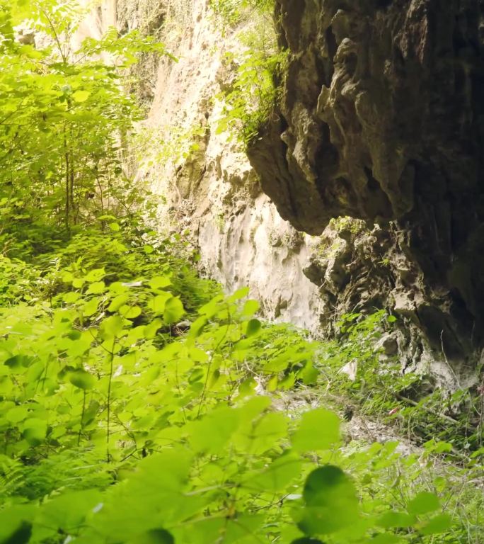 山洞洞口场景