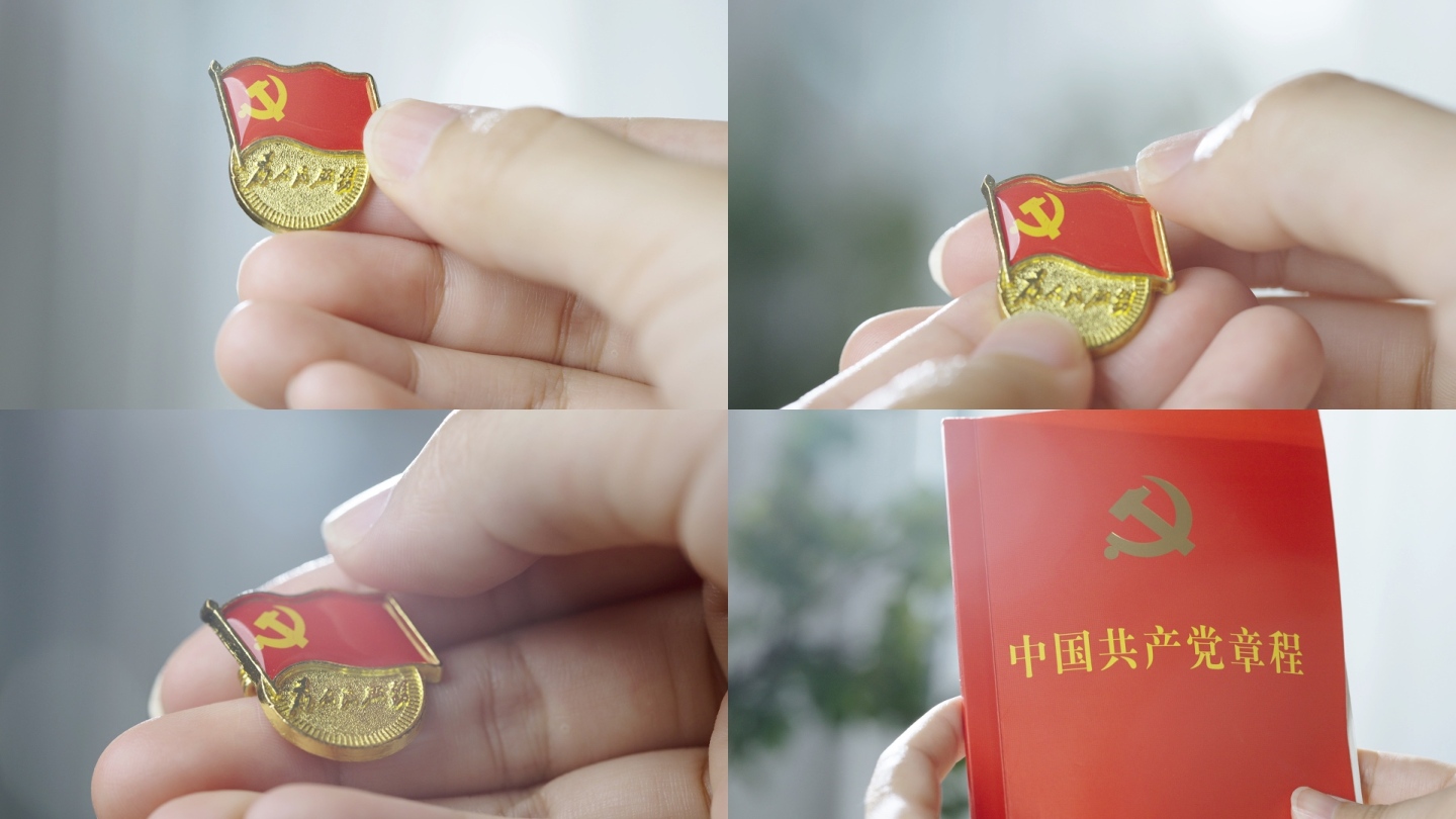 中国共产党党徽党章党建素材
