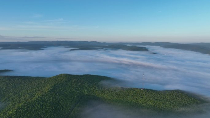 航拍黎明青山森林云海