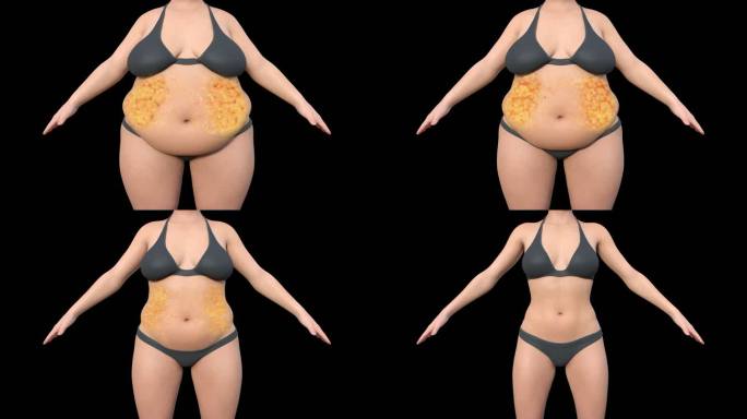 正面女人脂肪燃烧减肥动画瘦肚子赘肉透明底
