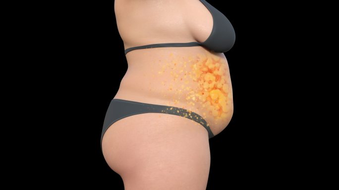 女性侧面脂肪燃烧动画减肥瘦身瘦肚子带通道