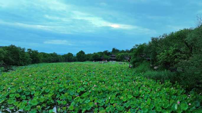 航拍浙江省杭州市名胜景区湘湖荷花庄