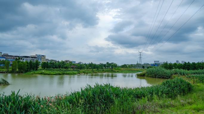 池塘 湿地公园 风起云涌 乌云满天 延时