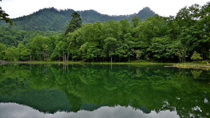 原生态自然风光原始森林绿水青山湖面倒影