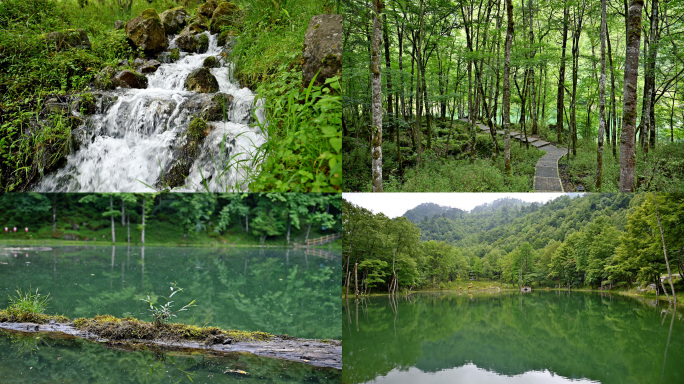 原生态自然风光原始森林绿水青山湖面倒影