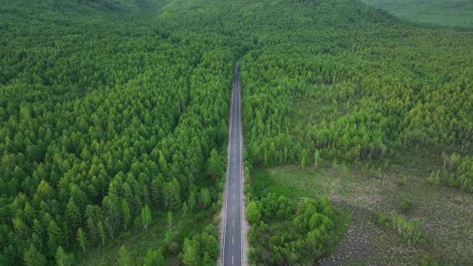 航拍山谷绿色林海山路