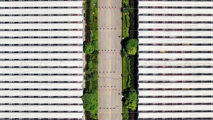 寿光市蔬菜高科技示范园