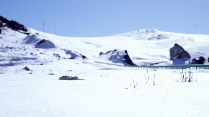 【4K】攀登大雪山背影