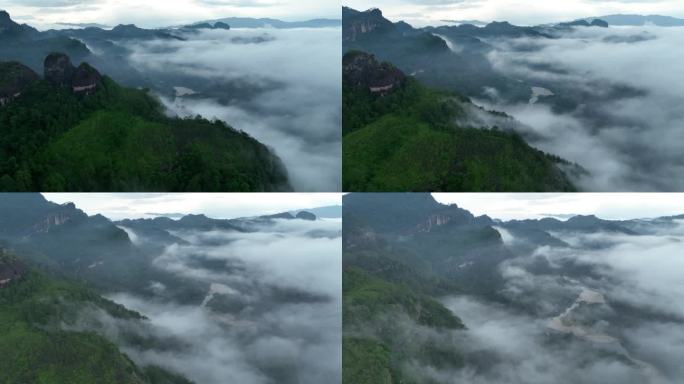 武夷山景区航拍大红袍茶基地