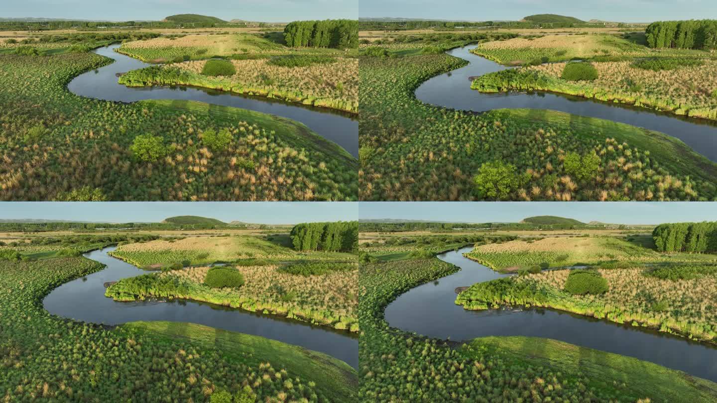 大兴安岭夏日河流湿地风景 (2)