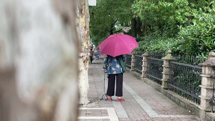 中风脑梗行动不便老人拐杖雨伞行走背影