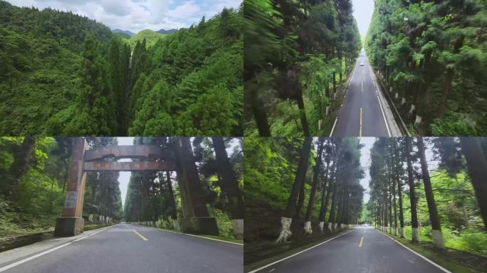 【正版原创实拍】山区绿林开车穿越机素材