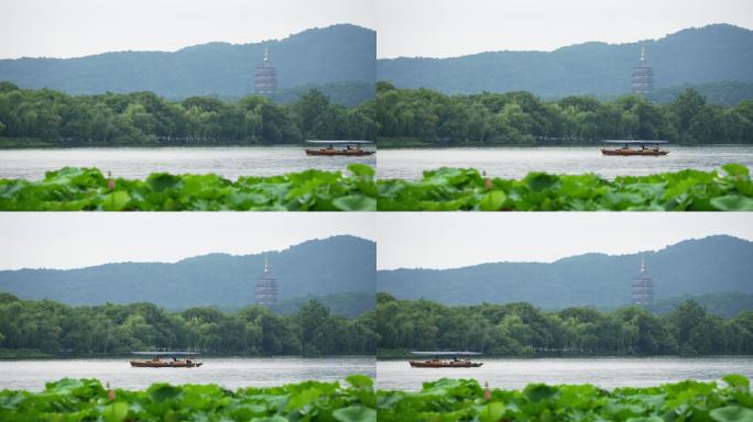 西湖风景手摇船荷花