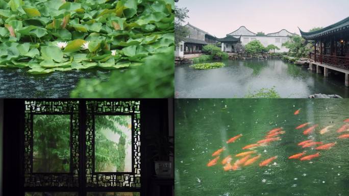 烟雨蒙蒙 苏州园林网师园 江南烟雨