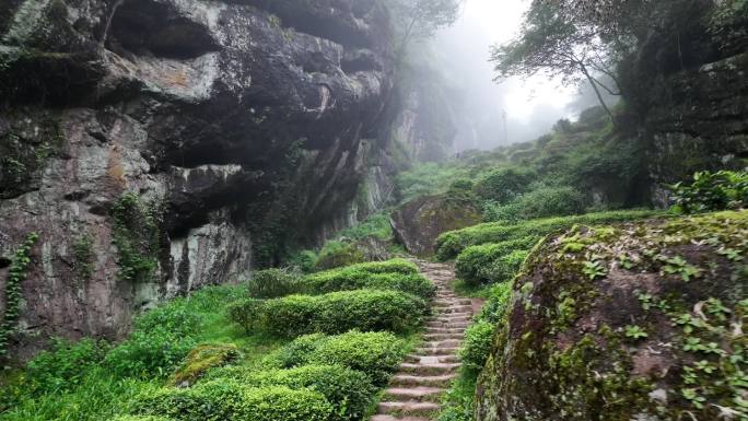 武夷山景区航拍