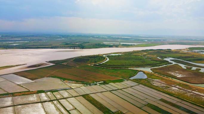 黄河滩地河道湿地