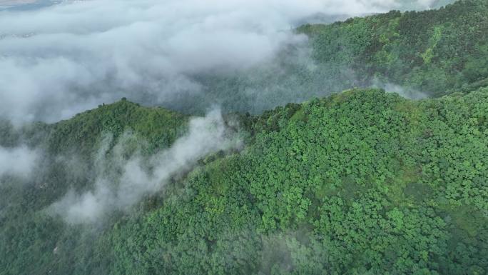 秦岭 终南山 南五台 云海 航拍