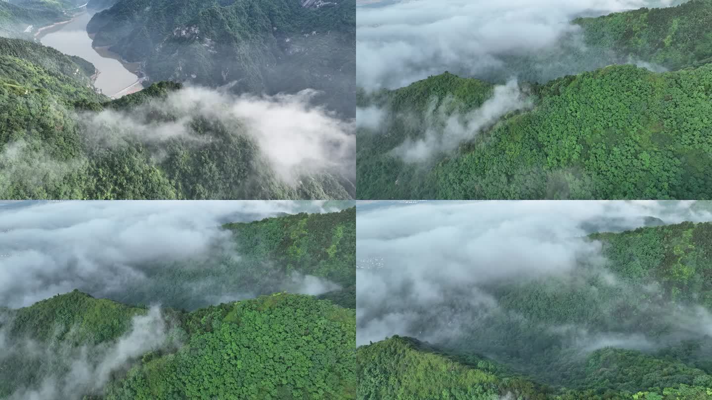 秦岭 终南山 南五台 云海 航拍