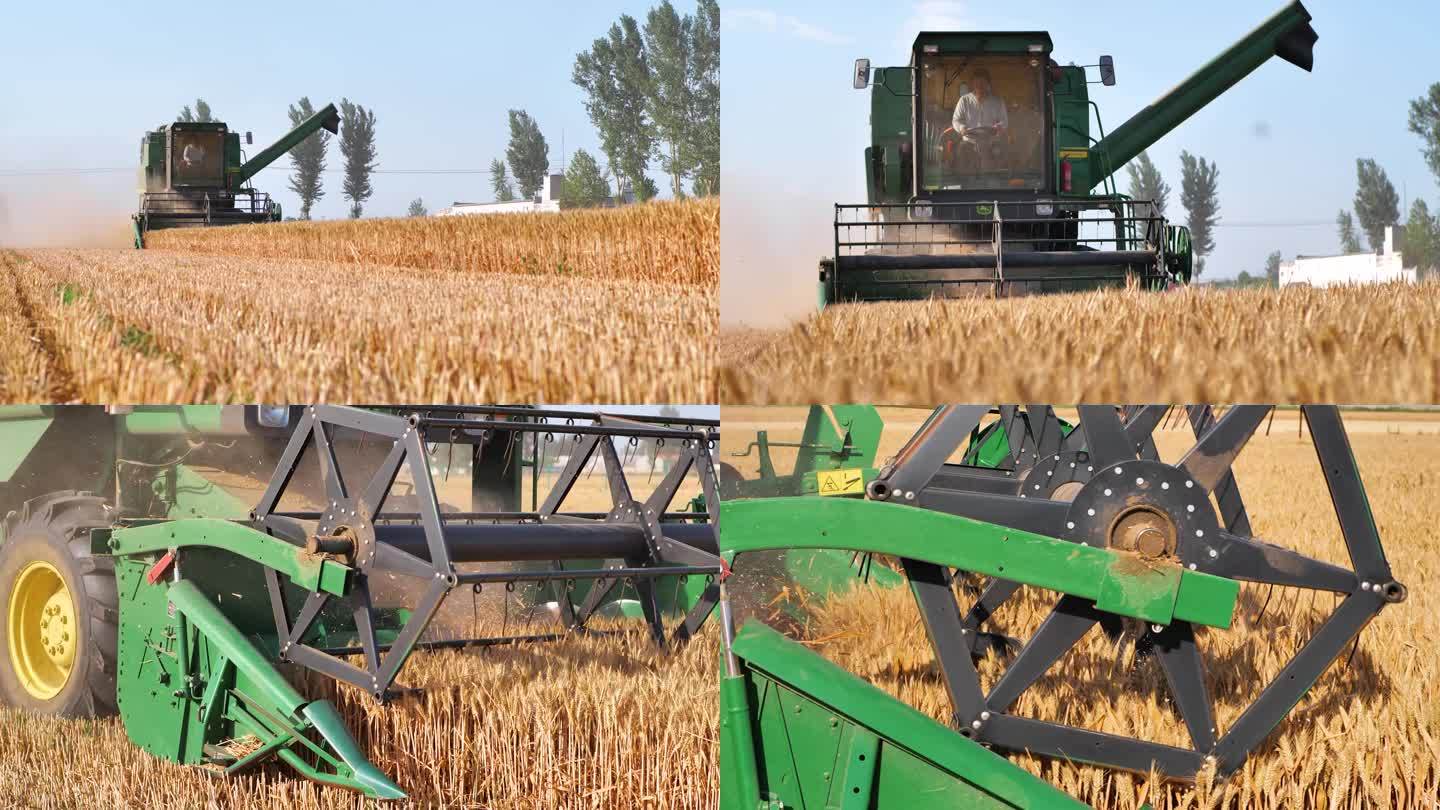 小麦丰收收割合集