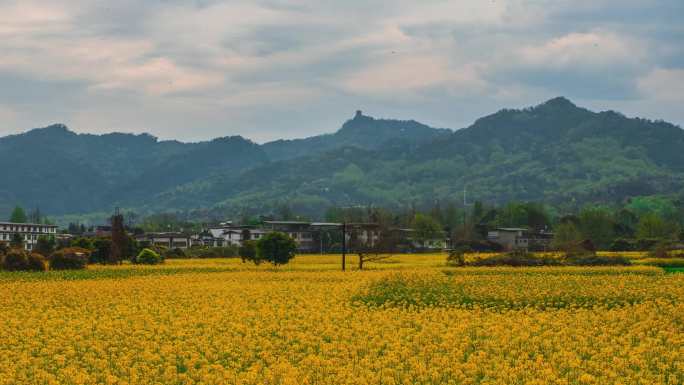 青城山