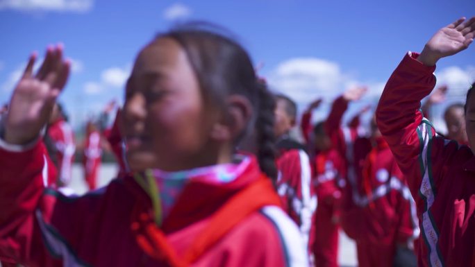 队礼 少年先锋队 祖国希望未来