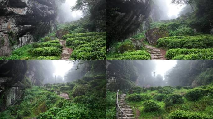 武夷山景区航拍